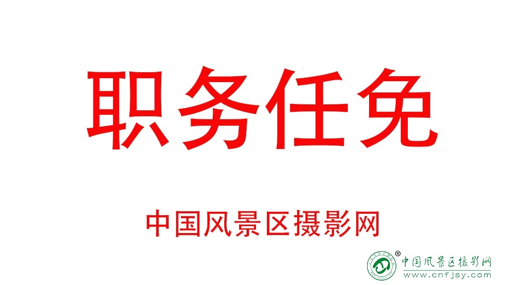 职务任免.jpg