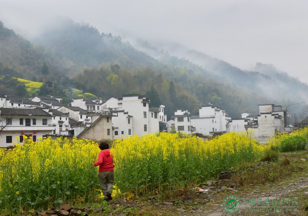 乡村春色