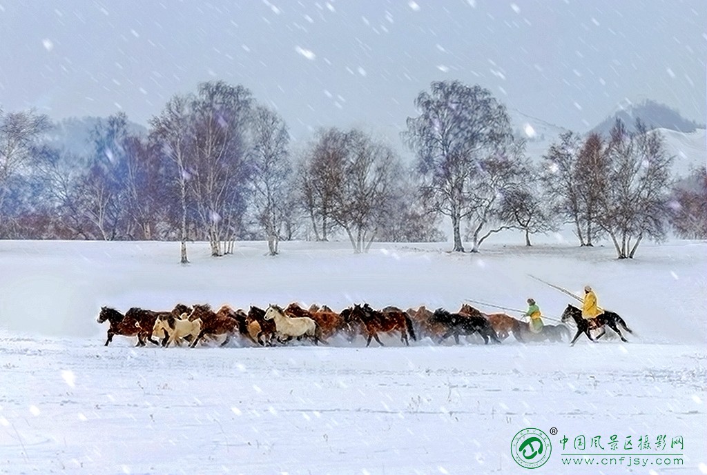 牧马风雪中