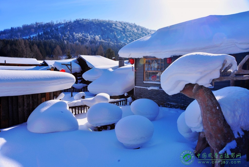 庭院里的雪蘑菇