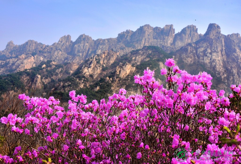 春到小珠山