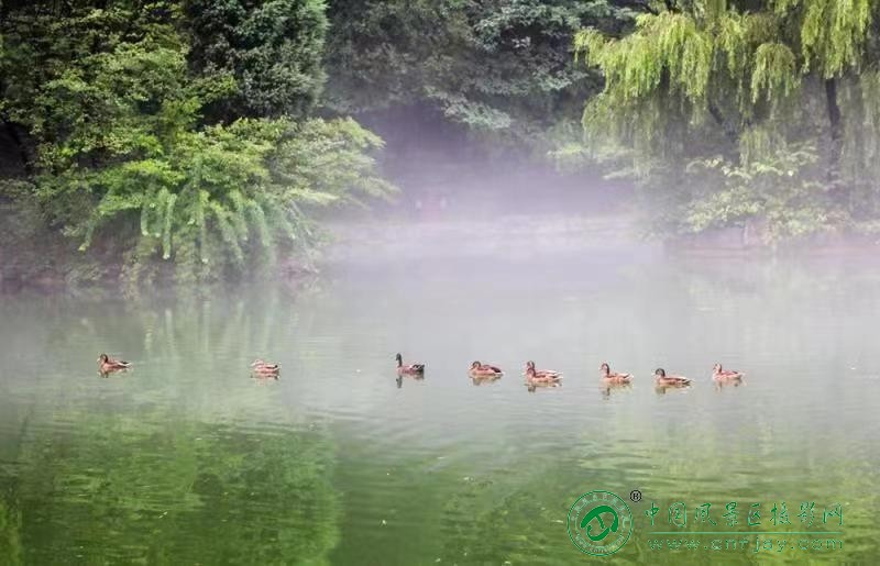 寇龙亮，2023年7月拍摄于青州。夏日.jpg