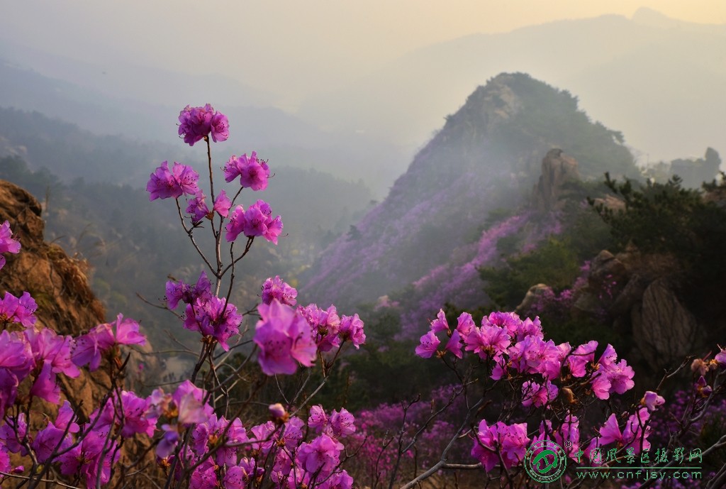 俏立山谷