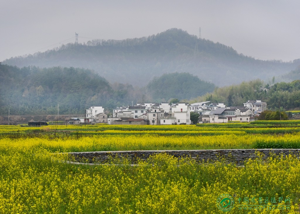 田园春色