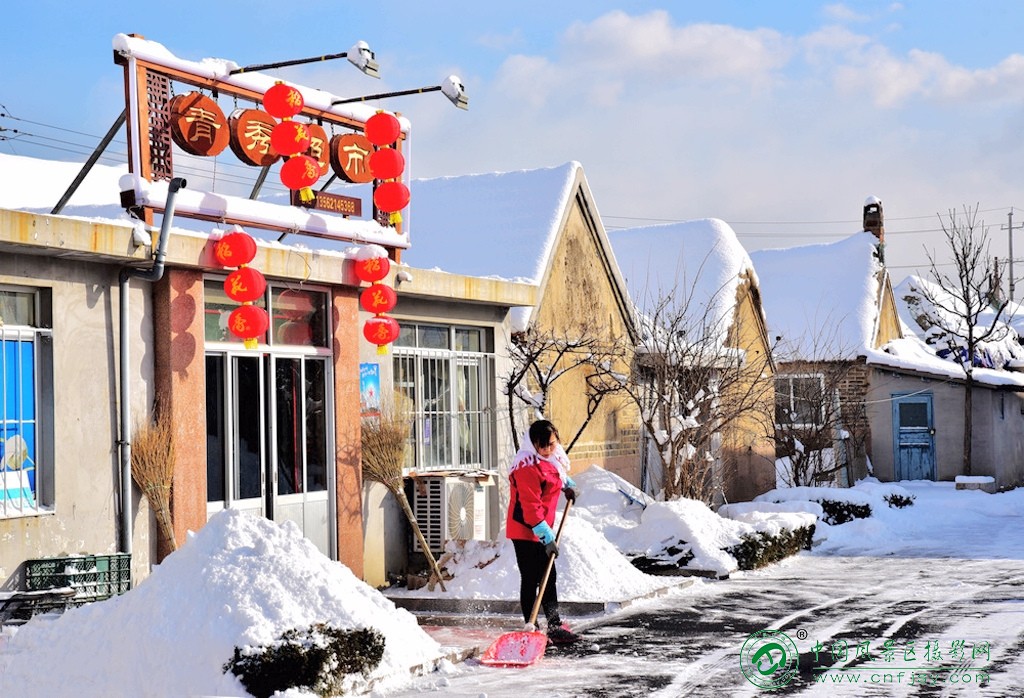 雪后天鹅村