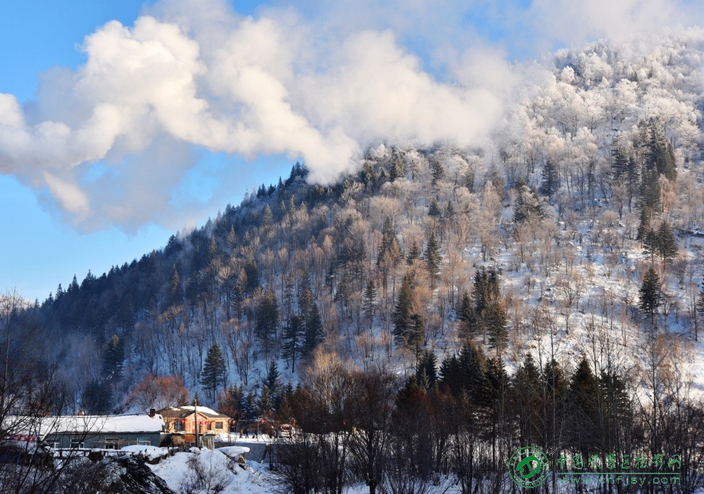 DSC_8862片.jpg