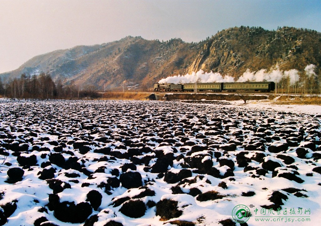 冬野飞驰