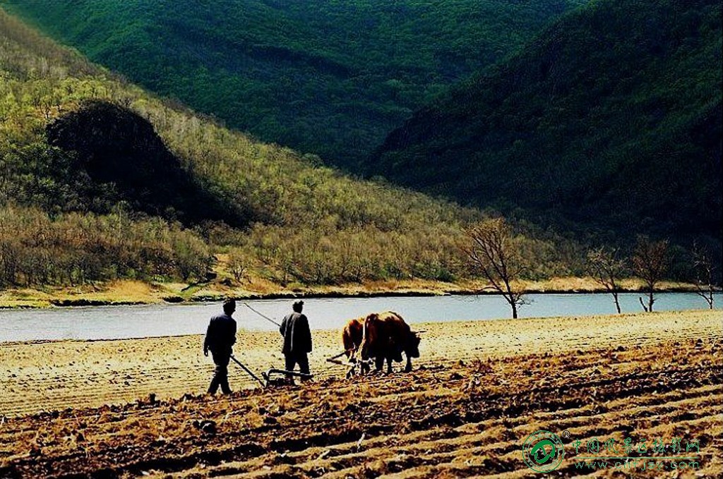 山野春歌