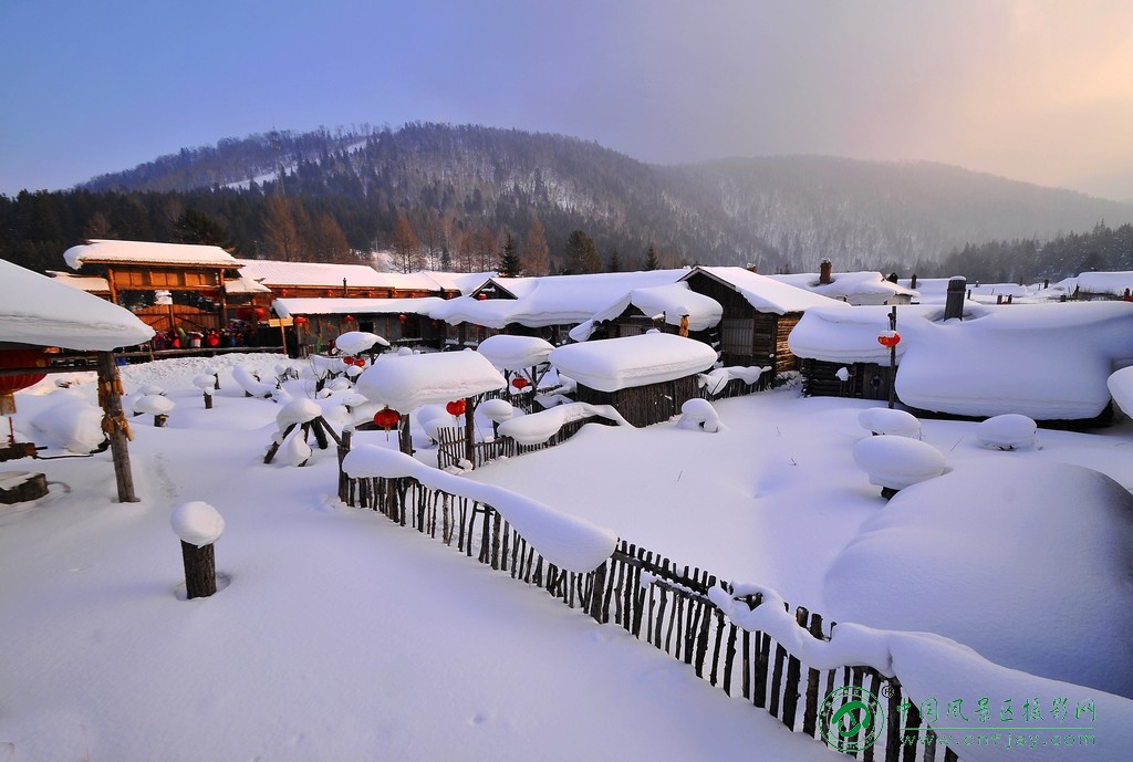 庭院雪色美