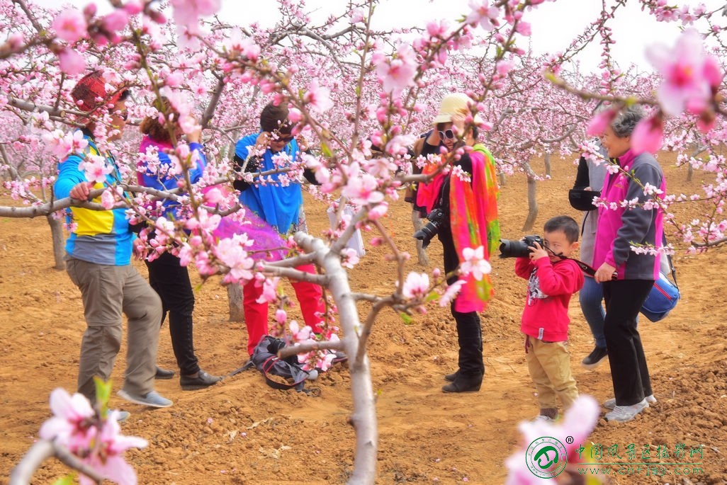 桃花源里