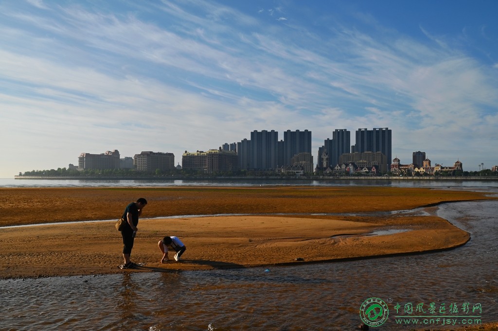 海滩抓螃蟹