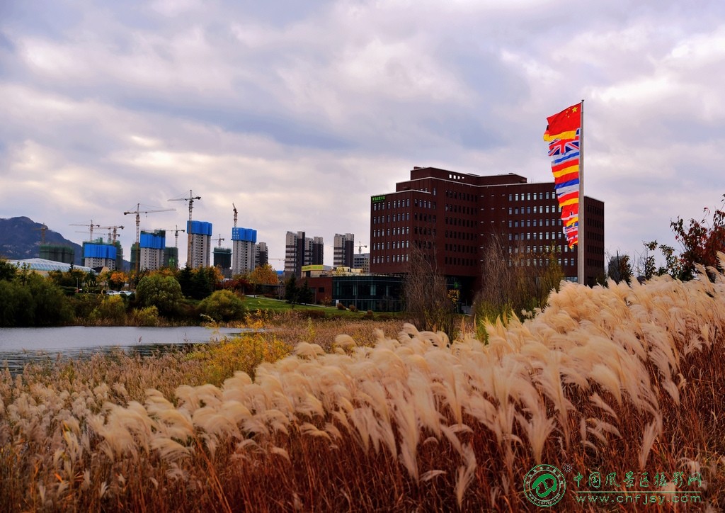 发展建设中的生态园