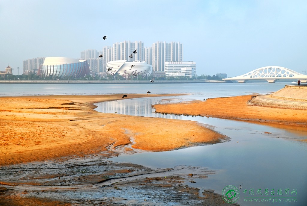 魅力海滩