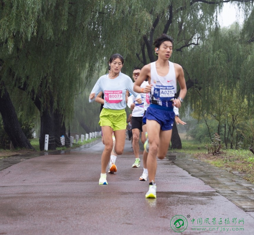 DSC02272 拷贝 2.jpg