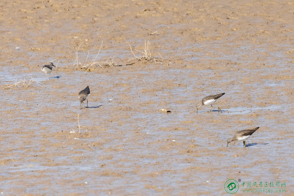 1I8A5139 拷贝.jpg副本.jpg