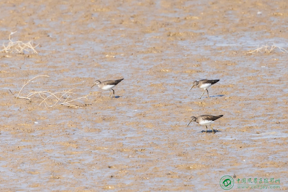 1I8A5146 拷贝.jpg副本.jpg