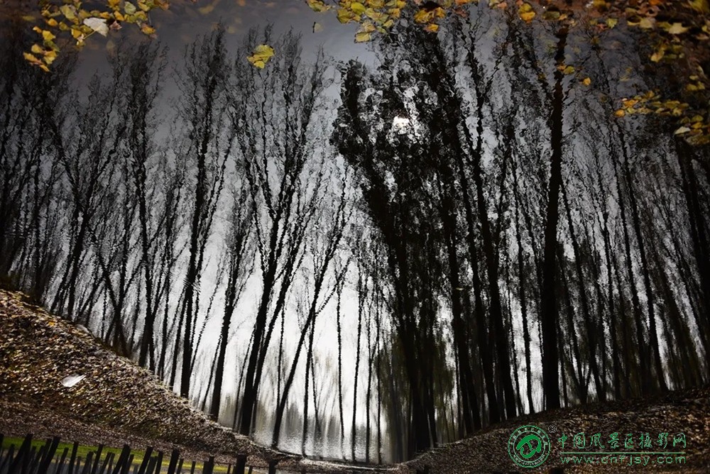 共酿一壶秋 (3).jpg