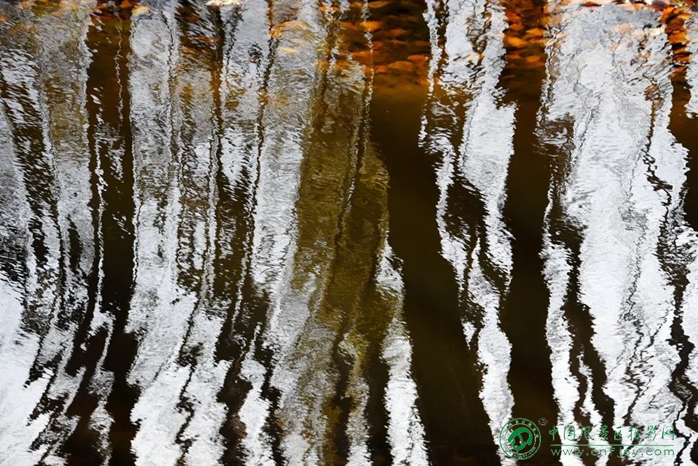 共酿一壶秋 (5).jpg