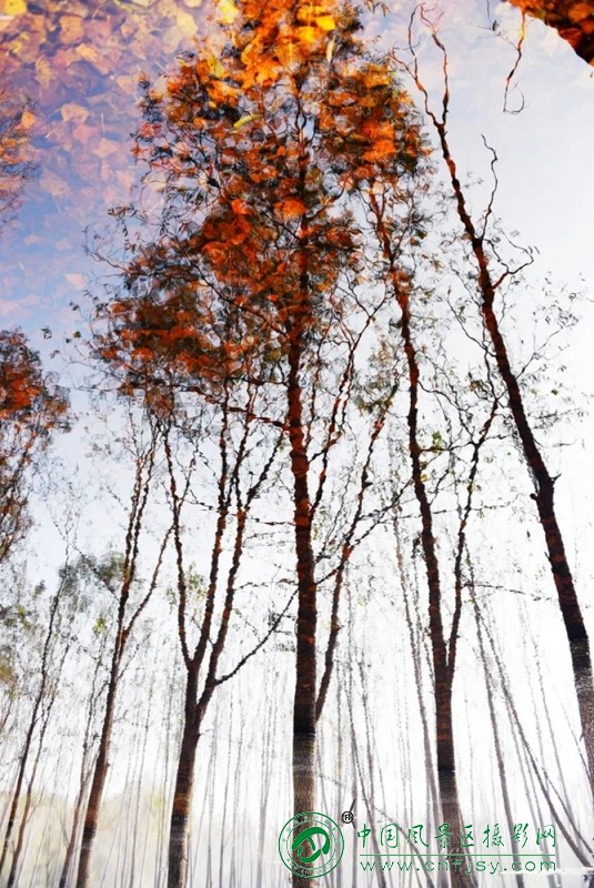 共酿一壶秋 (7).jpg