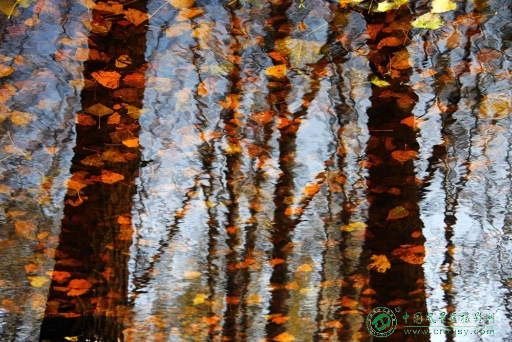 共酿一壶秋 (9).jpg