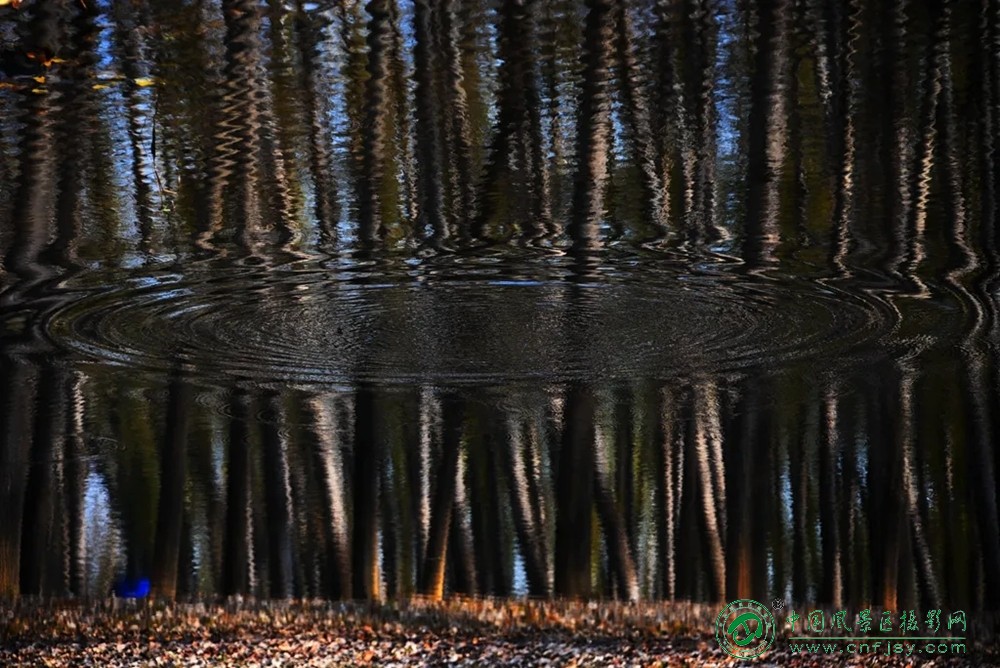 共酿一壶秋 (10).jpg