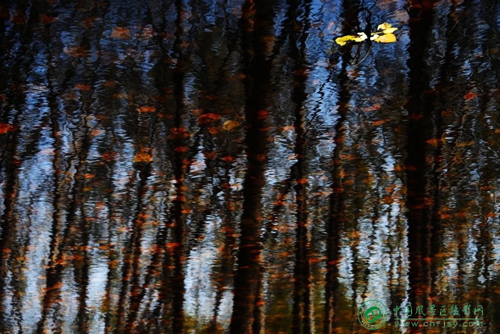 共酿一壶秋 (11).jpg