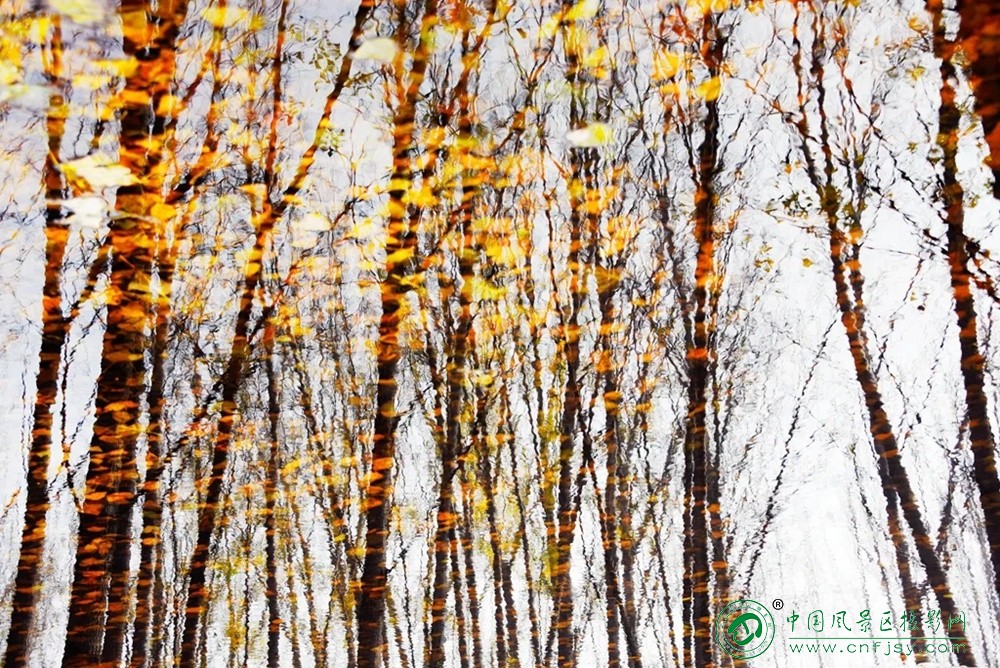 共酿一壶秋 (12).jpg