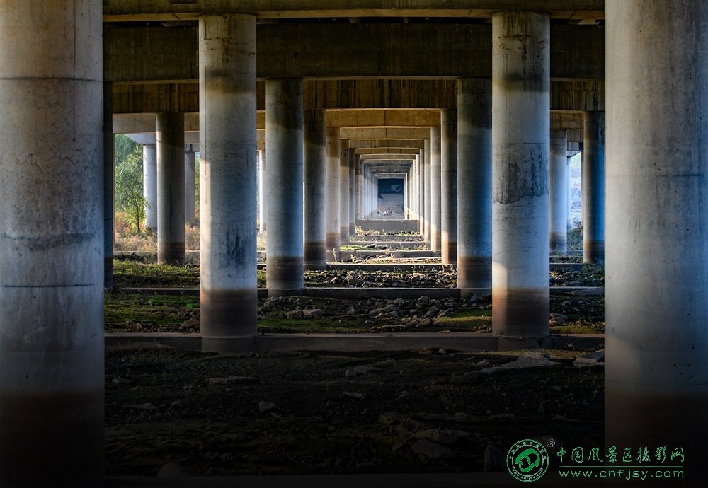 桥下的世界 董贵胜 青州弥河湿地-弥水生态乐园 2025.11.9.jpg