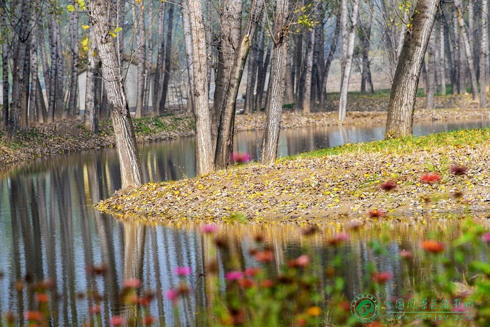 在水一方 董贵胜 青州弥河湿地-弥水生态乐园 2025.11.9.jpg