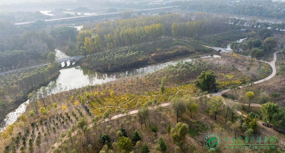 满园菊华 董贵胜 青州弥河湿地-弥水生态乐园 2025.11.9.jpg