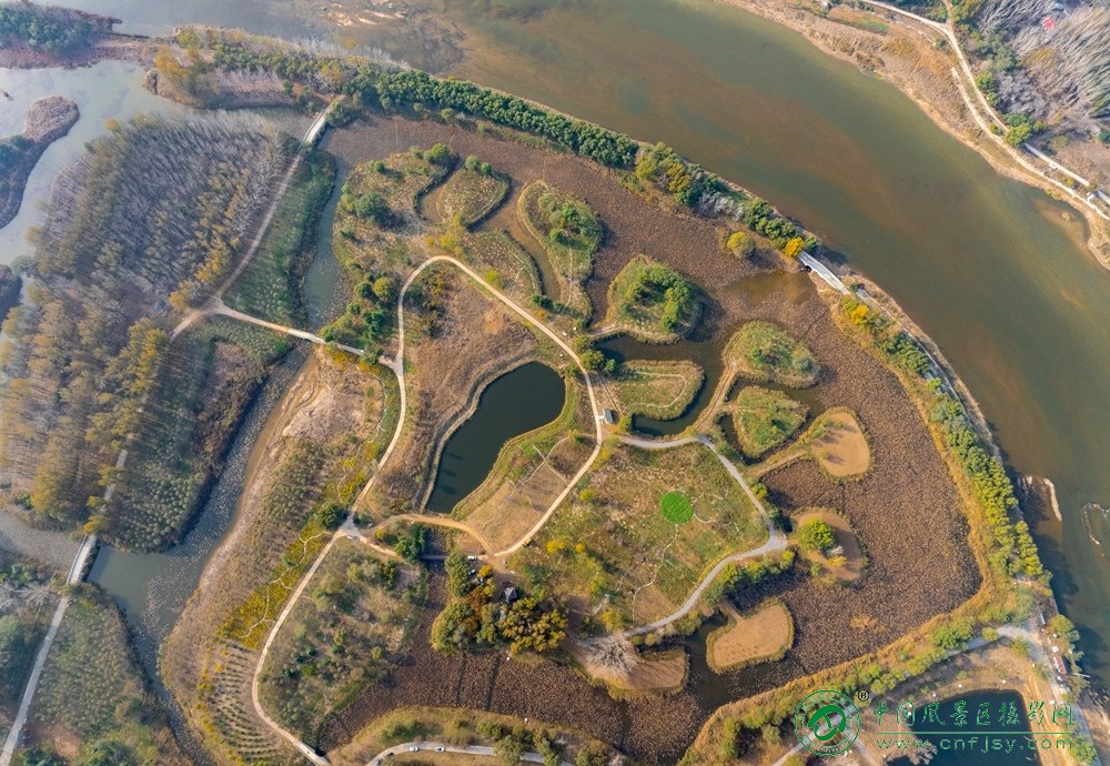 弥水生态乐园鸟瞰 董贵胜 青州弥河湿地-弥水生态乐园 2025.11.9.jpg