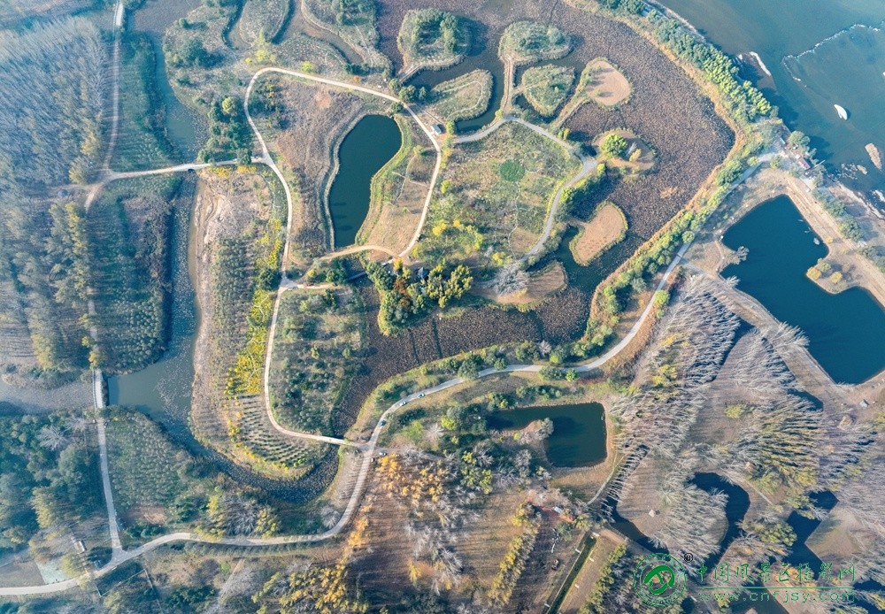 醉美湿地 董贵胜 青州弥河湿地-弥水生态乐园 2025.11.9.jpg