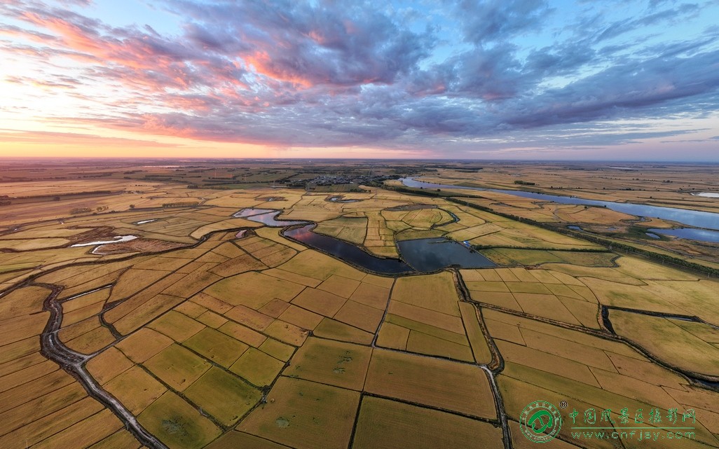 金色大地红霞飞
