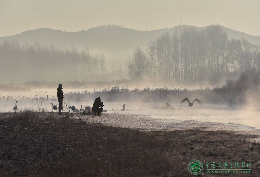 2026 1月 8日 拍摄于辽宁朝阳