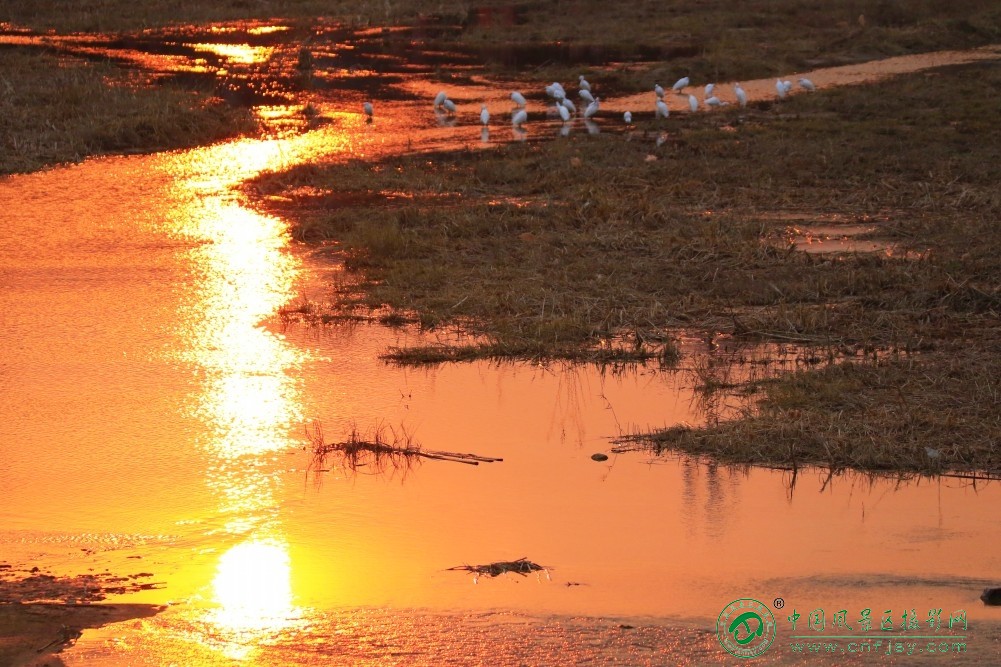 _85A0807 (4)_conew1.jpg