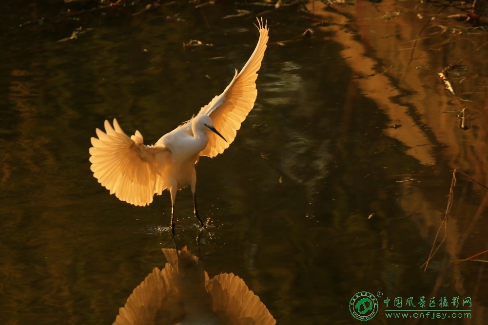 _85A3831 (2)_1_conew1.jpg