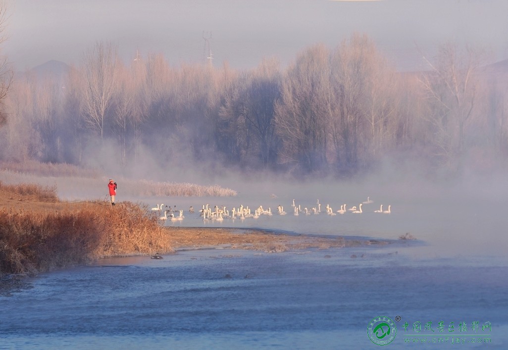 17晨梦牤牛湾-东北风-韩永奎这张作品以晨雾湿地为舞台，红衣摄影师与群鹅形成鲜明对比.jpg