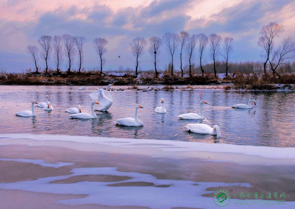 _A8A9592 拷贝l片.jpg