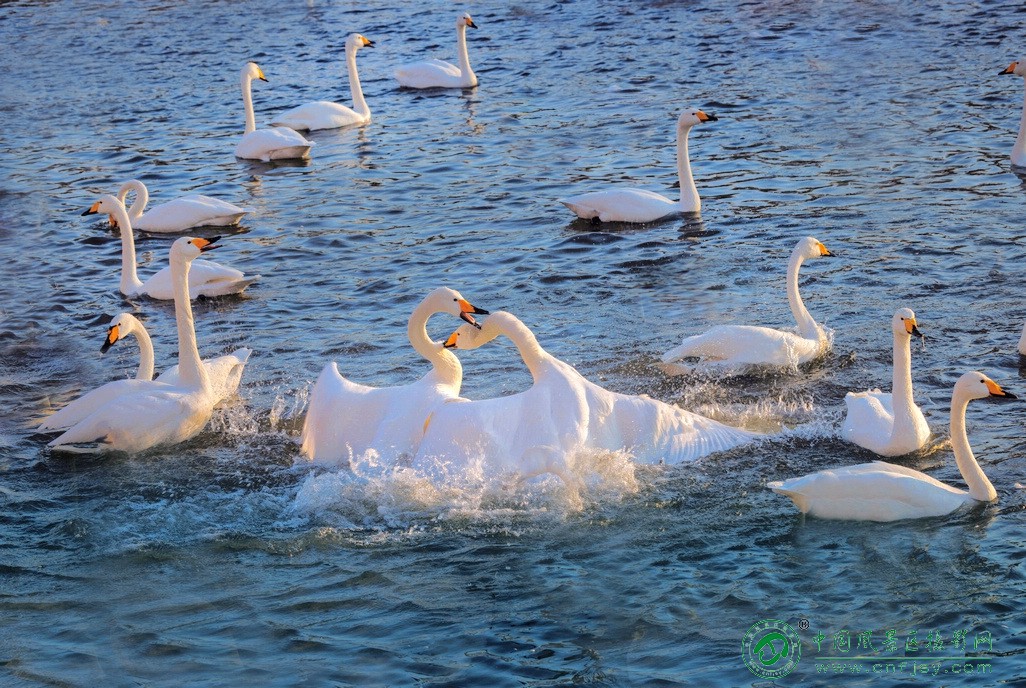 _A8A9900 拷贝l片.jpg