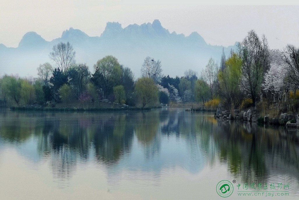 画意生态园.jpg
