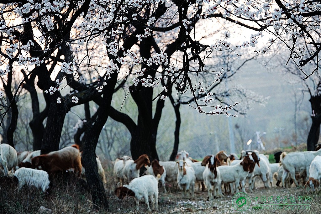 DSC07289_副本.jpg
