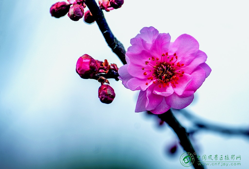 P1051514副本.jpg