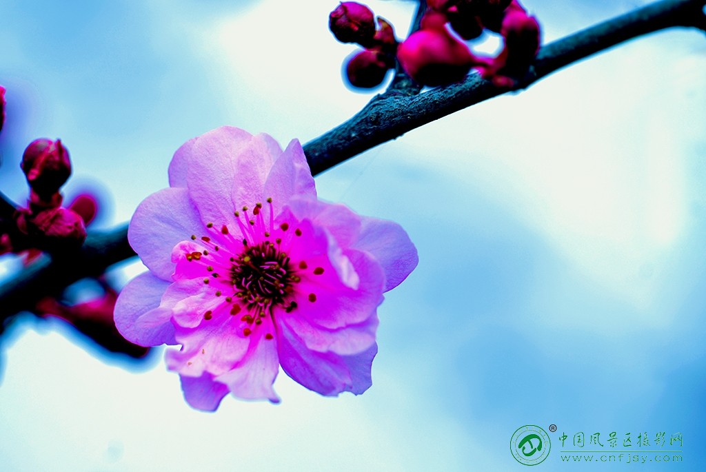 P1051516副本.jpg