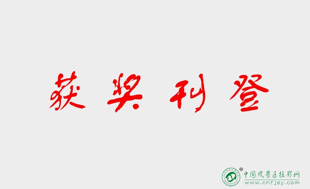 获奖刊登.jpg