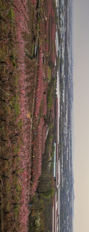 程希群 (8) 拷贝.jpg