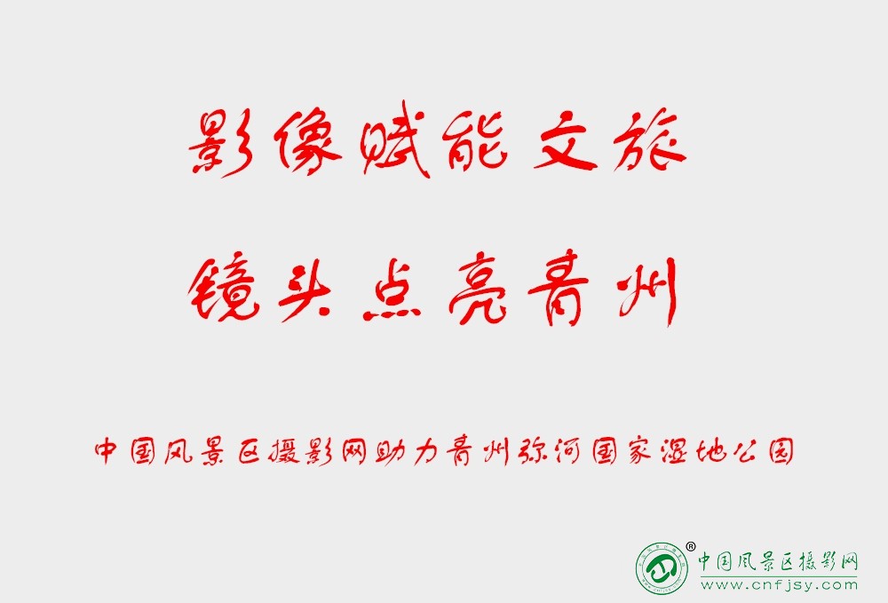 助力弥河国家湿地公园.jpg