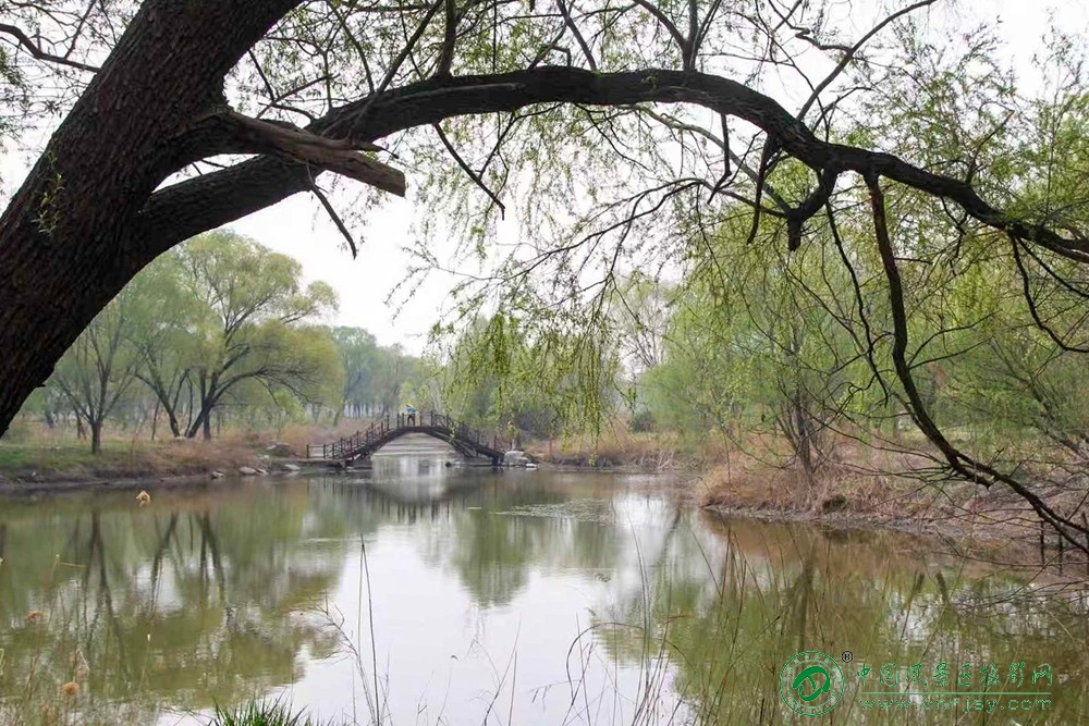 微信图片_2026-04-03_170557_970.jpg