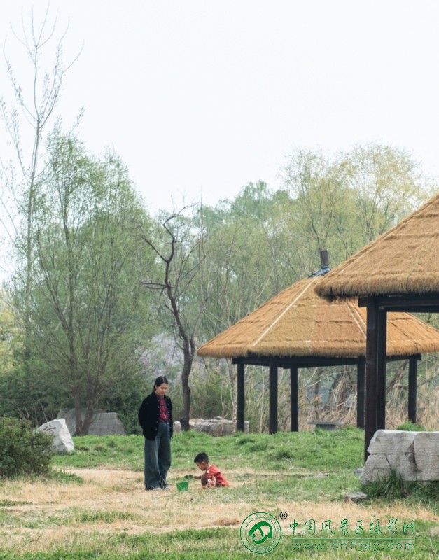 微信图片_2026-04-03_170041_448.jpg