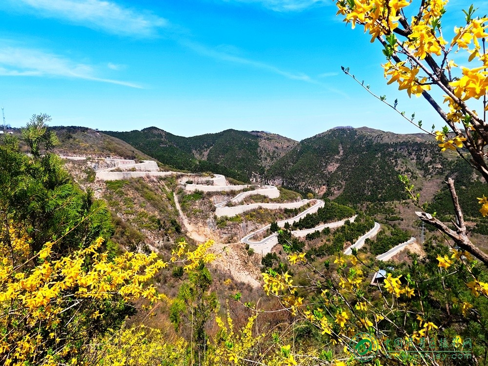 刘勇 (3).jpg