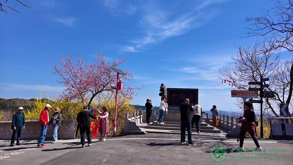王秀芝 (4).jpg